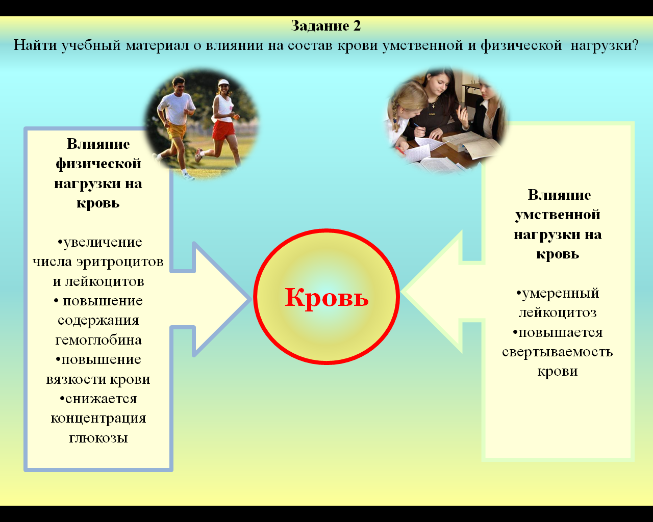 Открытый урок по дисциплине Возрастная анатомия, физиология и гигиена  «Строение и функции форменных элементов крови»