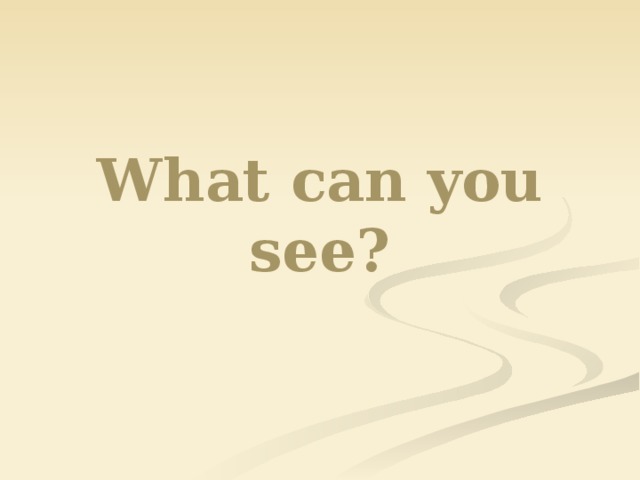 What can you see?  