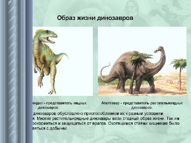 Основные этапы развития животных 8 класс презентация