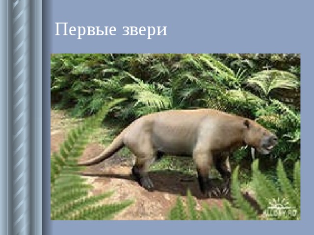 Первый зверь. Стилинодон. Трихомблакс первое животное. Какое было самое первое животное на плонетеь5.