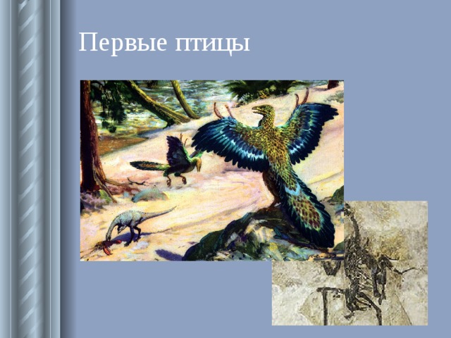 Презентация основные этапы развития животного мира на земле 7 класс сивоглазова