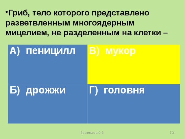 Гриб, тело которого представлено разветвленным многоядерным мицелием, не разделенным на клетки – А) пеницилл В) мукор Б) дрожжи Г) головня Братякова С.Б.  