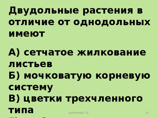 Двудольные растения в отличие от однодольных имеют  А) сетчатое жилкование листьев Б) мочковатую корневую систему В) цветки трехчленного типа Г) стебель соломину Братякова С.Б.  