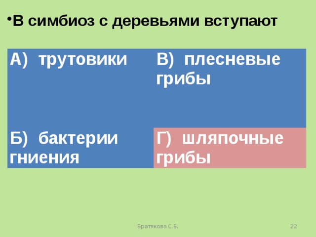 В симбиоз с деревьями вступают А) трутовики В) плесневые грибы Б) бактерии гниения Г) шляпочные грибы Братякова С.Б.  