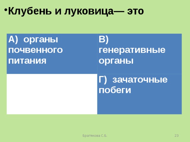 Клубень и луковица— это А) органы почвенного питания В) генеративные органы Б) видоизмененные побеги Г) зачаточные побеги Братякова С.Б.  