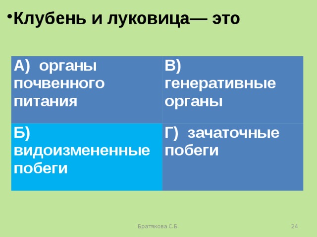 Клубень и луковица— это А) органы почвенного питания В) генеративные органы Б) видоизмененные побеги Г) зачаточные побеги Братякова С.Б.  