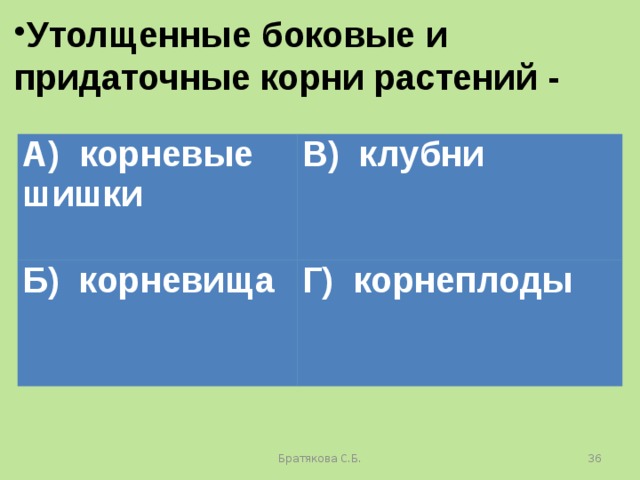 Утолщенные боковые и придаточные корни растений - А) корневые шишки В) клубни Б) корневища Г) корнеплоды Братякова С.Б.  