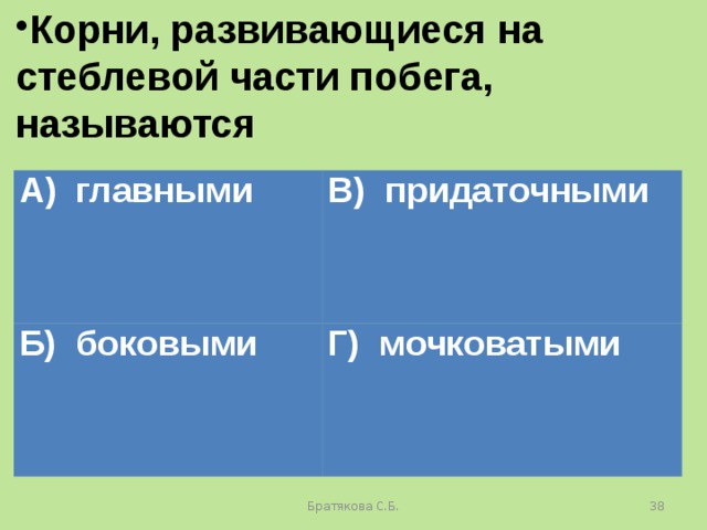 Корни, развивающиеся на стеблевой части побега, называются А) главными В) придаточными Б) боковыми Г) мочковатыми Братякова С.Б.  