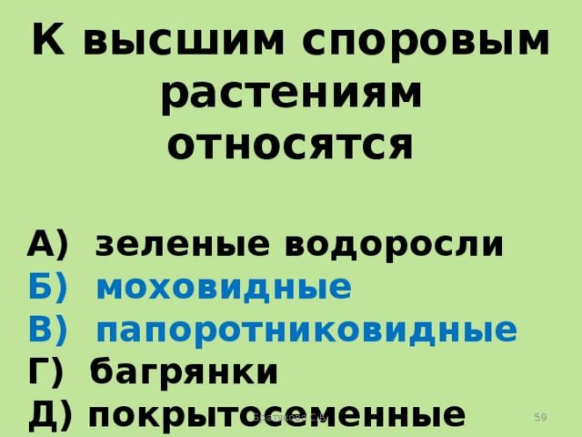 К высшим споровым растениям относятся  A) зеленые водоросли Б) моховидные B) папоротниковидные Г) багрянки Д) покрытосеменные Е) хвощевидные Братякова С.Б.  