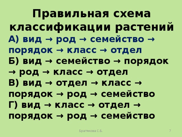 Правильная схема классификации растений А) вид → род → семейство → порядок → класс → отдел Б) вид → семейство → порядок → род → класс → отдел В) вид → отдел → класс → порядок → род → семейство Г) вид → класс → отдел → порядок → род → семейство Братякова С.Б.  