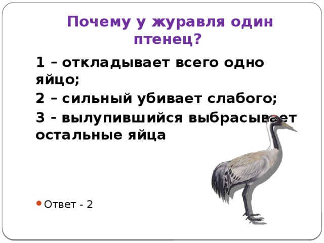 Найди слово в слове журавль. Почему у журавля один птенец. Почему у журавлей 1 птенец. Почему у журавлей только один птенец. Почему журавля всегда рождаются только один птенец.