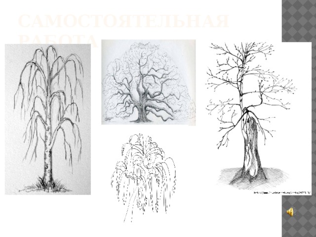 Самостоятельная работа 