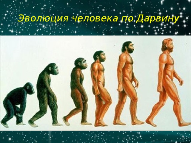 Эволюция человека по Дарвину http://www.factruz.ru/history_mistery/images/neanderthal1.jpg 6