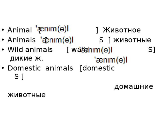 Animal [ ] Животное Animals [ S ] животные Wild animals [ waild S] дикие ж. Domestic animals [domestic S ]  домашние животные 