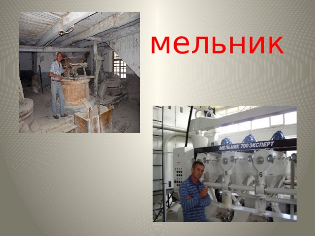 мельник 