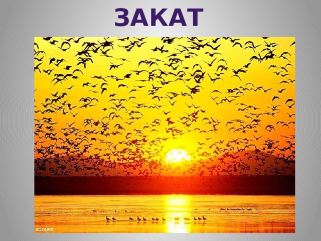 ЗАКАТ 