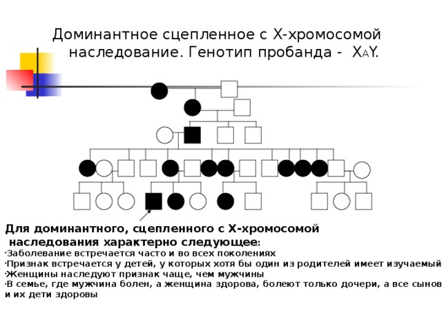                Для доминантного, сцепленного с Х-хромосомой  наследования характерно следующее : Заболевание встречается часто и во всех поколениях Признак встречается у детей, у которых хотя бы один из родителей имеет изучаемый признак Женщины наследуют признак чаще, чем мужчины В семье, где мужчина болен, а женщина здорова, болеют только дочери, а все сыновья и их дети здоровы  Доминантное сцепленное с Х-хромосомой наследование. Генотип пробанда - Х А Y. 