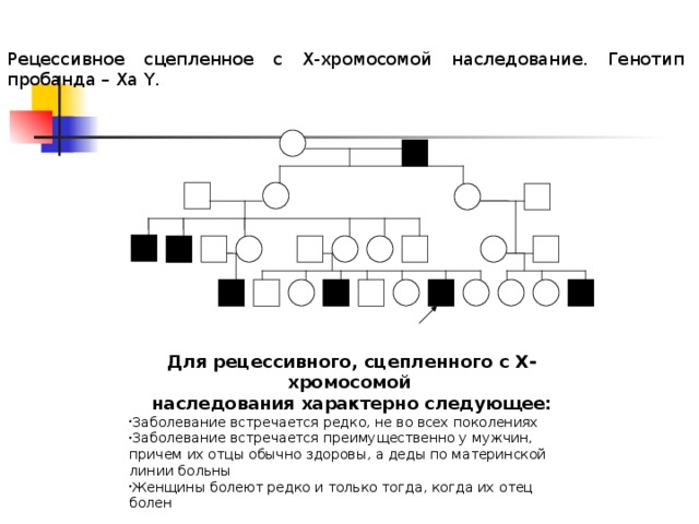 Рецессивная хромосома. Заболевания сцепленные с х хромосомой рецессивный. Наследование сцепленное с х хромосомой. Для x-сцепленного, рецессивного наследования характерно. Болезни сцепленные с х хромосомой для ЕГЭ.