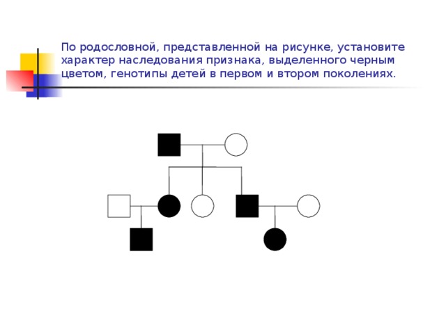 По родословной, представленной на рисунке, установите характер наследования признака, выделенного черным цветом, генотипы детей в первом и втором поколениях. 