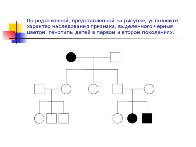 По родословной, представленной на рисунке, установите характер наследования признака, выделенного черным цветом, генотипы детей в первом и втором поколениях. 