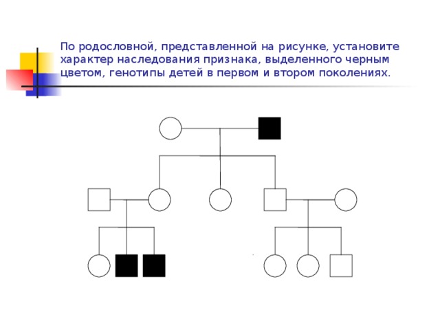 По родословной, представленной на рисунке, установите характер наследования признака, выделенного черным цветом, генотипы детей в первом и втором поколениях. 