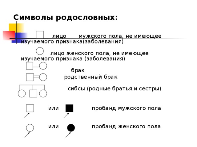 Сибсы. СИБСЫ пробанда это. Родословная пробанд. Значки родословной. Символика СИБСЫ В родословной.