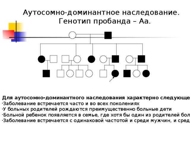 Аутосомно-доминантное наследование. Генотип пробанда – Аа.               Для аутосомно-доминантного наследования характерно следующее: Заболевание встречается часто и во всех поколениях У больных родителей рождаются преимущественно больные дети Больной ребенок появляется в семье, где хотя бы один из родителей болен Заболевание встречается с одинаковой частотой и среди мужчин, и среди женщин 