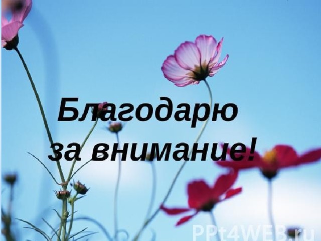 Благодарю за внимание !!! 