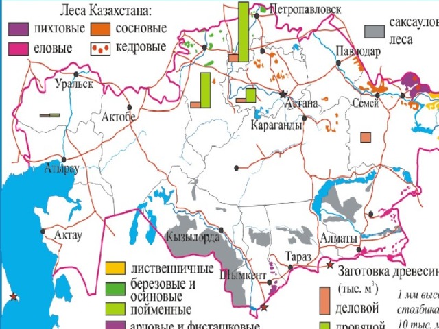 Лесное хозяйство Казахстана Определите: Какие районы Казахстана в большей степени обеспечены лесными ресурсами? Какие виды лесов характерны для Казахстана? (стр. 118). Для каких районов характерны саксауловые леса? 