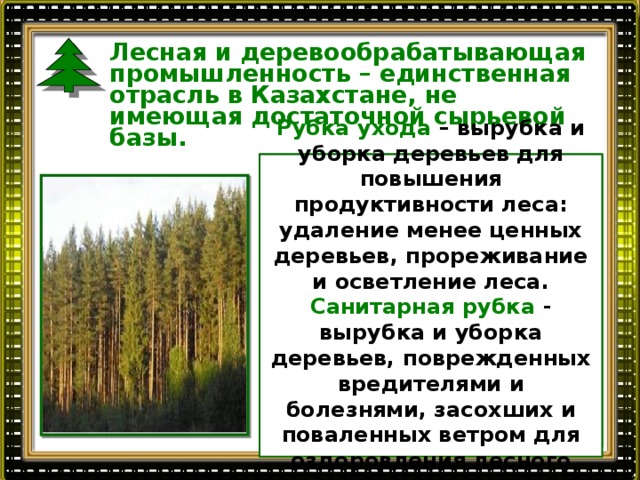 Лесная и деревообрабатывающая страны. Лесная и деревообрабатывающая промышленность страны. Повышение продуктивности леса. Продуктивность лесов. День Лесной и деревообрабатывающей отрасли.