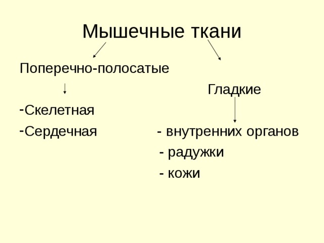 Поперечно-полосатые  Гладкие Скелетная Сердечная - внутренних органов  - радужки  - кожи 