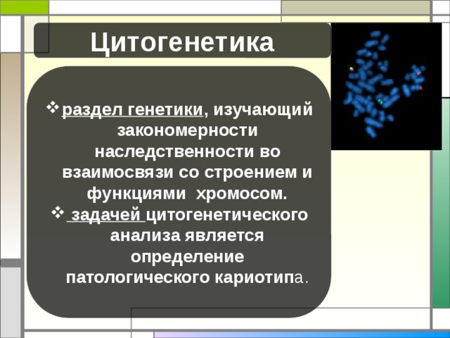 Цитогенетика раздел генетики , изучающий закономерности наследственности во взаимосвязи со строением и функциями хромосом.  задачей цитогенетического анализа является определение патологического кариотип а. 