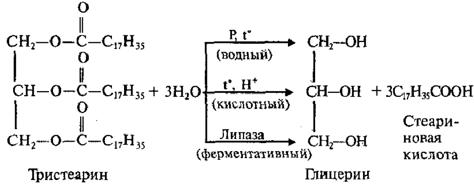 Гидролиз жирова. Кислотный гидролиз тристеарина. Реакция гидролиза тристеарина. Гидролиза тристеарина в кислой среде. Щелочной гидролиз тристеарина.