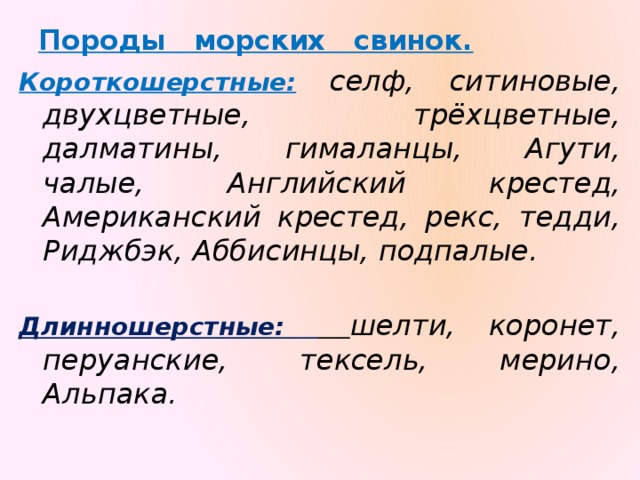 Породы морских свинок. Короткошерстные:  селф, ситиновые, двухцветные, трёхцветные, далматины, гималанцы, Агути, чалые, Английский крестед, Американский крестед, рекс, тедди, Риджбэк, Аббисинцы, подпалые.  Длинношерстные:  шелти, коронет, перуанские, тексель, мерино, Альпака.  