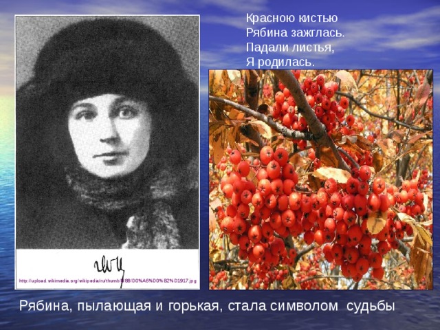 Цветаева рубили рябину анализ. Цветаева м. и. - красною кистью…. М Цветаева красною кистью рябина зажглась. Стих Цветаевой красною кистью рябина зажглась.