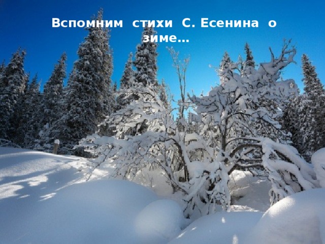 Вспомним стихи С. Есенина о зиме… 