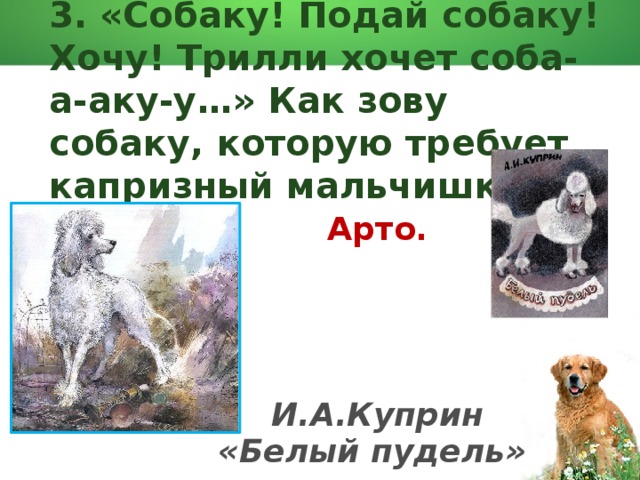 Кличка пуделя у куприна. Кроссворд по рассказу белый пудель Куприн. А. И. Куприн "белый пудель". Кроссворд по произведению Куприна белый пудель. Кроссворд белый пудель Куприн.