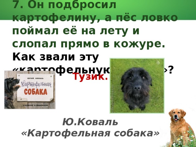 План картофельная собака