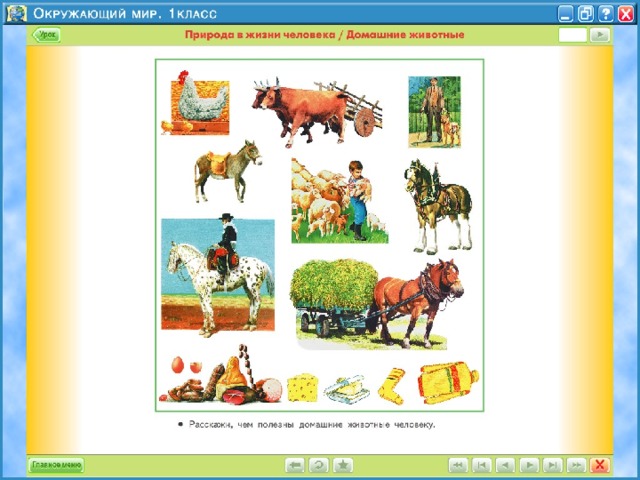Домашние животные 1 класс окружающий. Урок по окружающему миру домашние животные. Домашние животные 1 класс. Домашние животные 1 класс окружающий мир. Конспект урока по окружающему миру домашние животные.