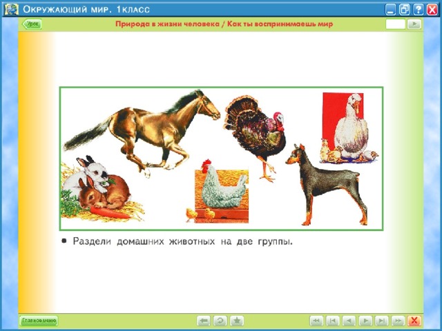 Урок домашние животные 3 класс. Домашние животные 1 класс окружающий мир. На какие две группы можно разделить домашних животных. По каким группам можно поделить домашних животных. Домашние животные урок технологии 1 класс.