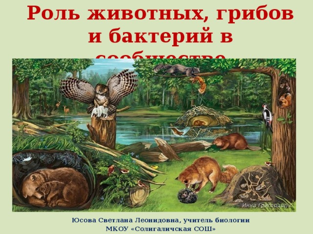 Презентация роль животных в природных сообществах