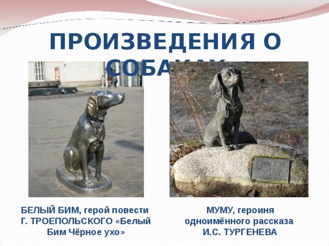 ПРОИЗВЕДЕНИЯ О СОБАКАХ БЕЛЫЙ БИМ, герой повести Г. ТРОЕПОЛЬСКОГО «Белый Бим Чёрное ухо» МУМУ, героиня одноимённого рассказа И.С. ТУРГЕНЕВА 