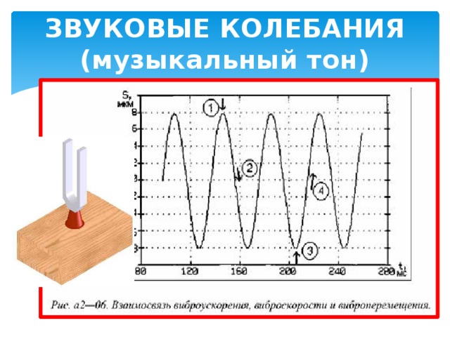 ЗВУКОВЫЕ КОЛЕБАНИЯ  (музыкальный тон) 