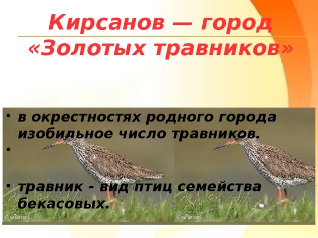 Кирсанов — город «Золотых травников» в окрестностях родного города изобильное число травников. травник - вид птиц семейства бекасовых. 