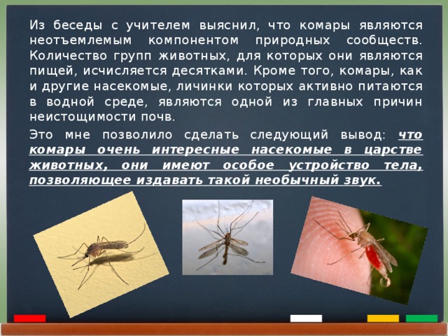 Комар относится к естественным телам. Какой звук издает комар. К какому отряду относится комар. Комары к какой группе относятся по питанию