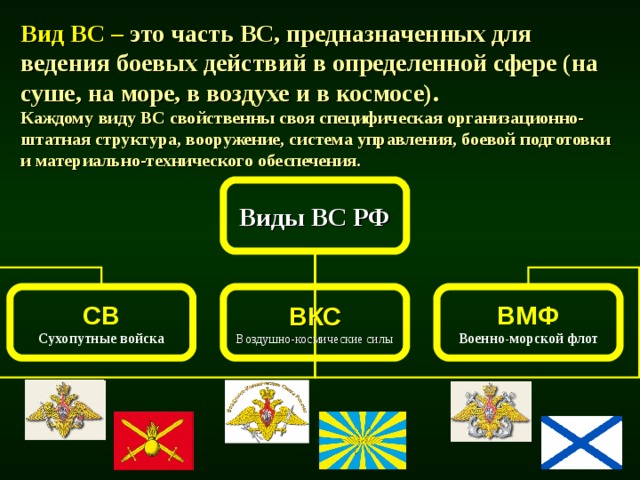 Вид ВС – это часть ВС, предназначенных для ведения боевых действий в определенной сфере (на суше, на море, в воздухе и в космосе).  Каждому виду ВС свойственны своя специфическая организационно-штатная структура, вооружение, система управления, боевой подготовки и материально-технического обеспечения. Виды ВС РФ ВМФ ВКС СВ Сухопутные войска Воздушно-космические силы Военно-морской флот 