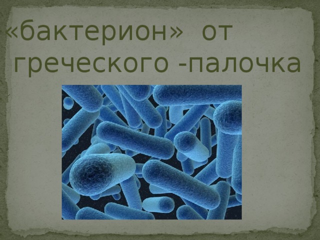 «бактерион» от греческого -палочка 