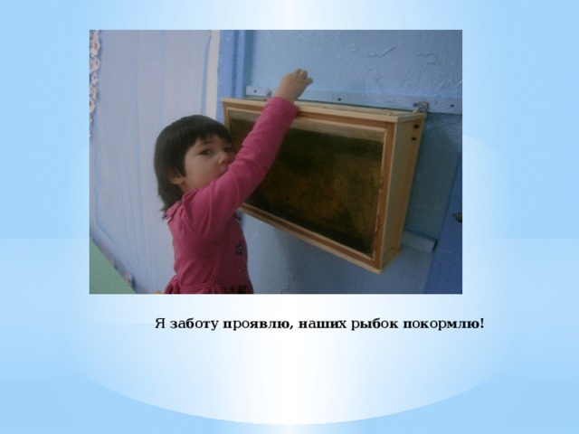Я заботу проявлю, наших рыбок покормлю!   
