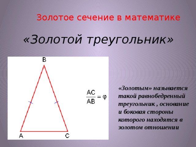 Пропорция и золотое сечение проект 6 класс