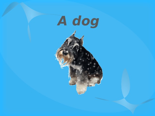 A dog 